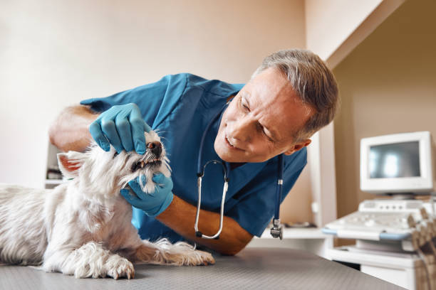 Best Broken Tooth Emergency  in Hallam, PA