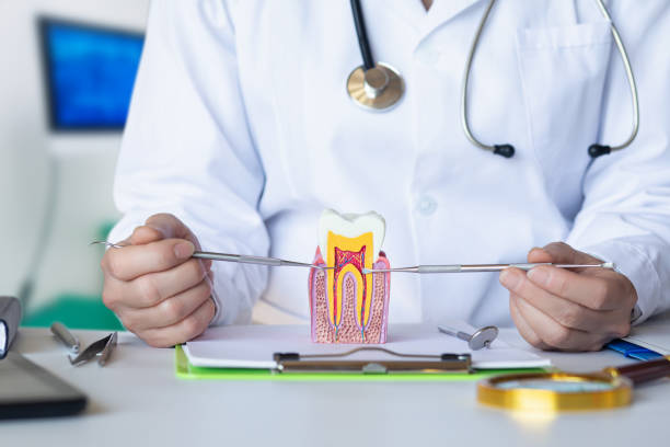 Best Urgent Tooth Repair  in Hallam, PA